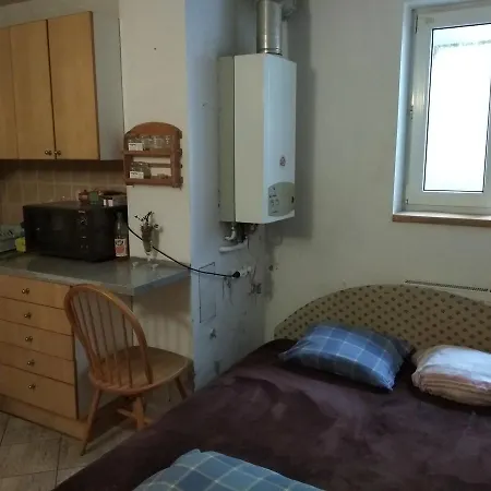 Branik Garden Hostel *